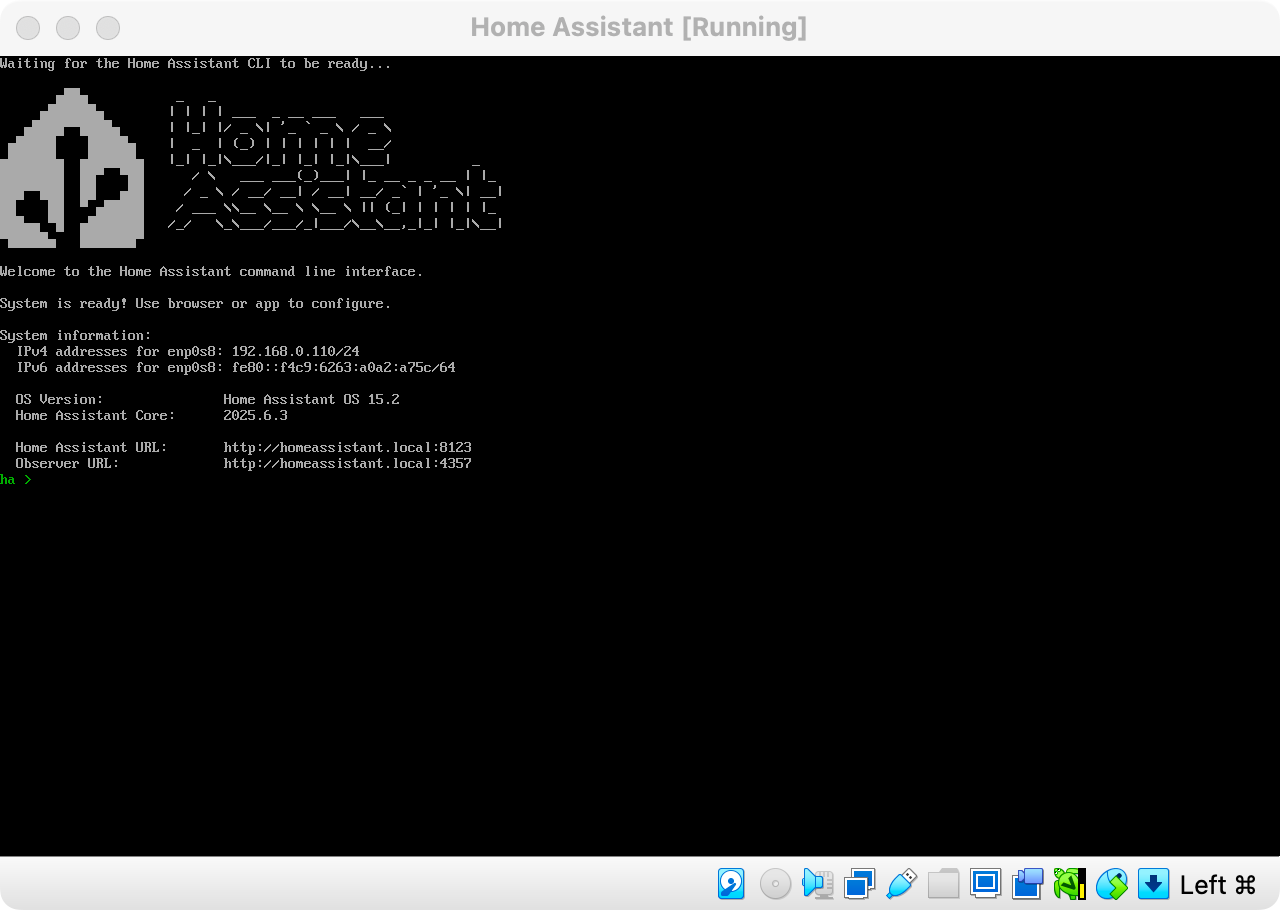 Home Assistant running in a VM.