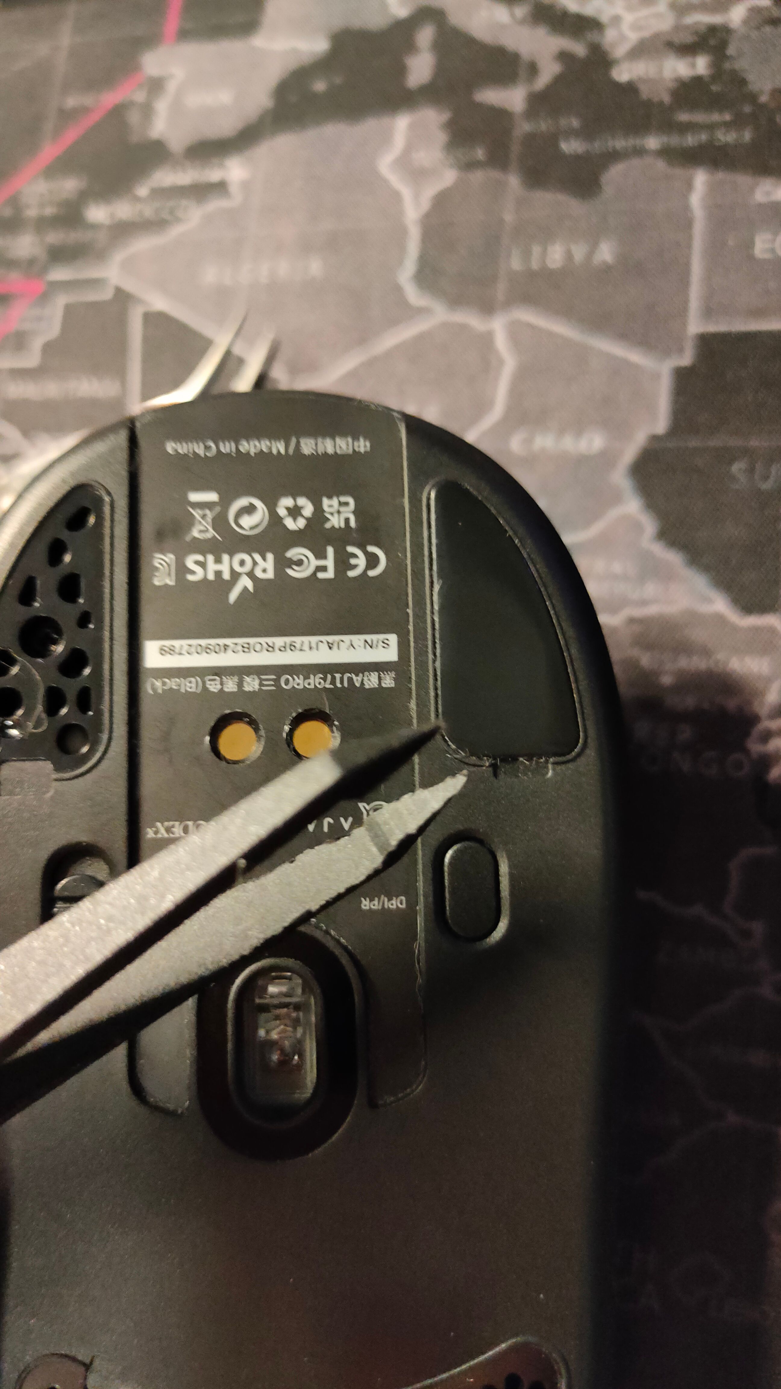 Removing mouse skates using tweezers.