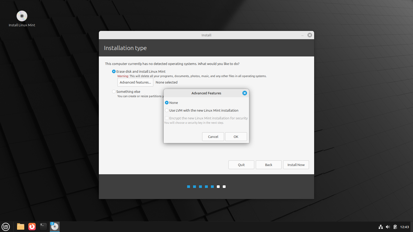 Linux Mint installer asking for installation type and advanced options.