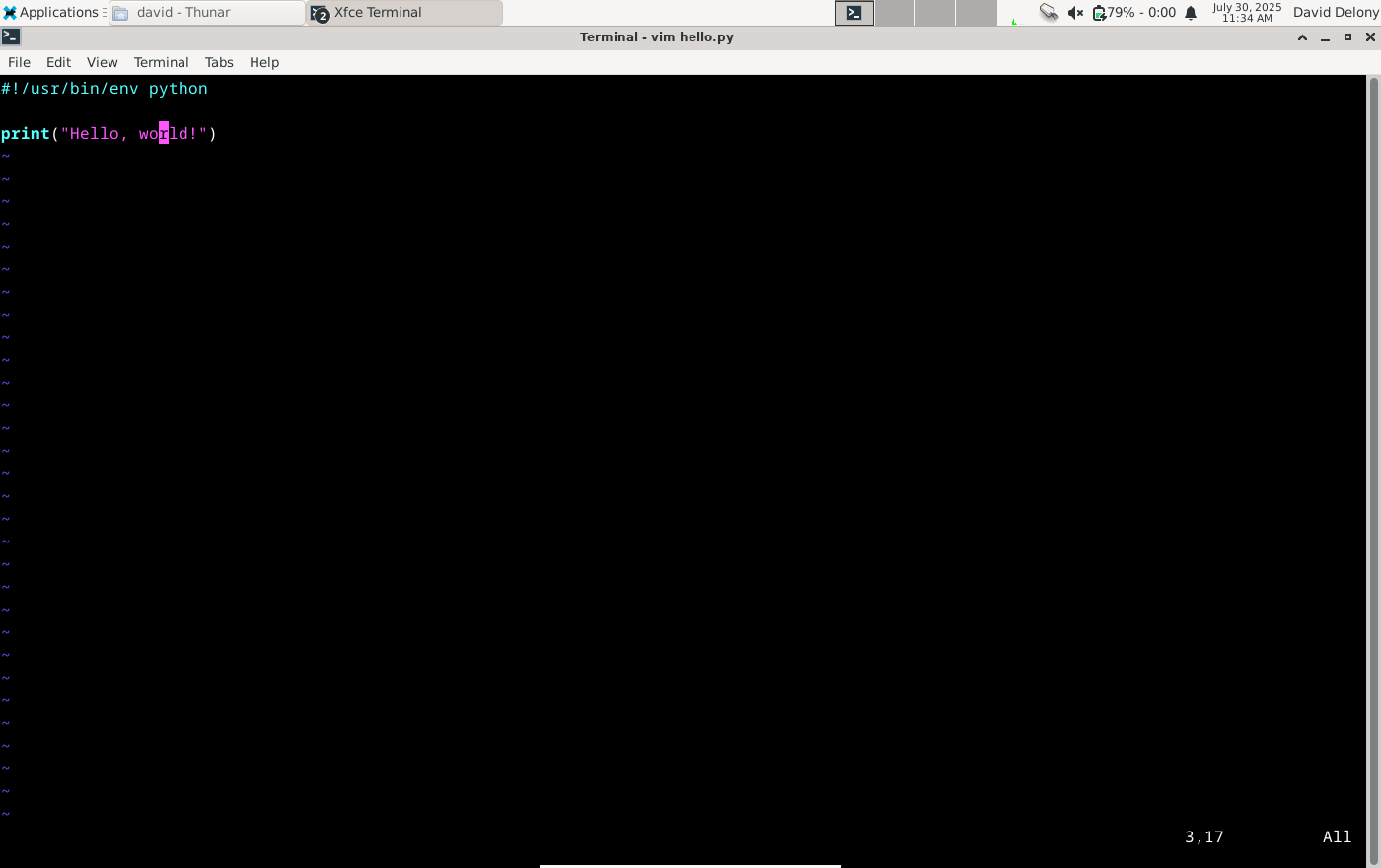 Editing a Python "Hello, world!" program in Vim in a Linux terminal window.