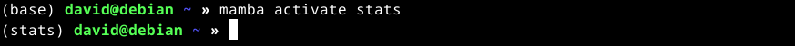 Running "mamba activate stats" in the Linux terminal.