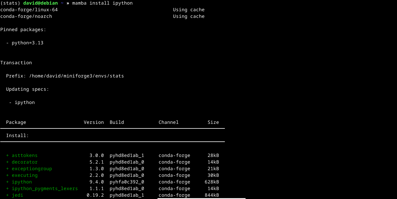 Installing IPython in the existing Mamba stats environment.