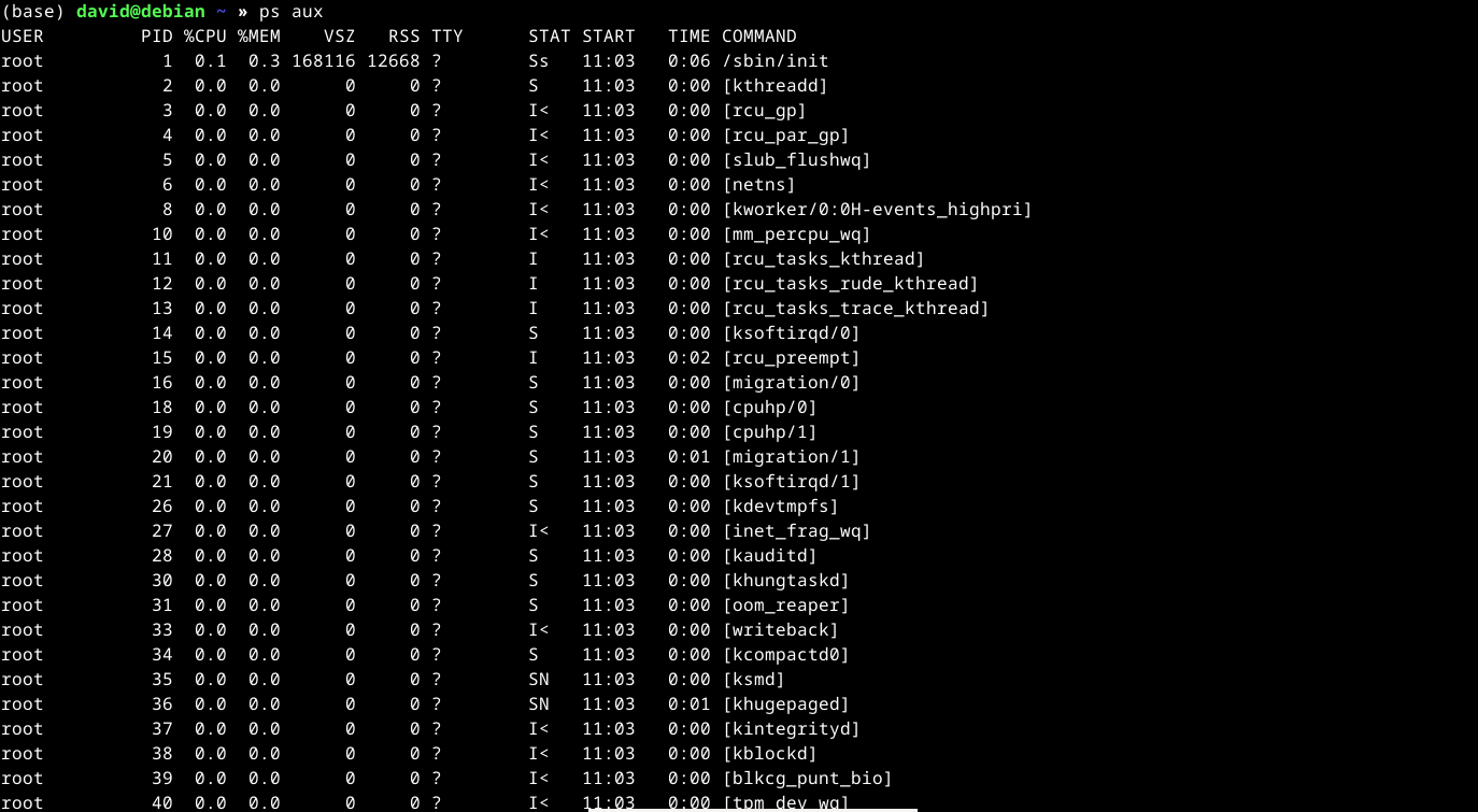 List of running processes from "ps aux" on Linux.