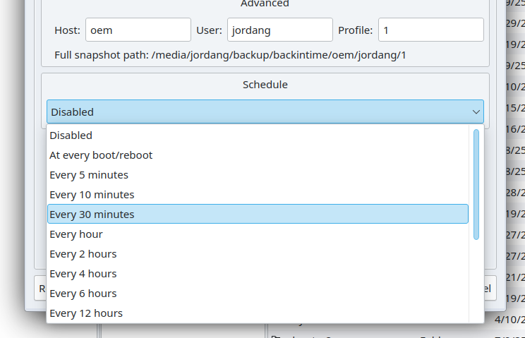 Scheduling options in Back in Time.