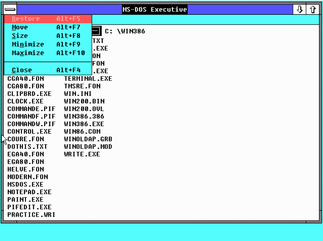 The window controls in Windows 2.0.