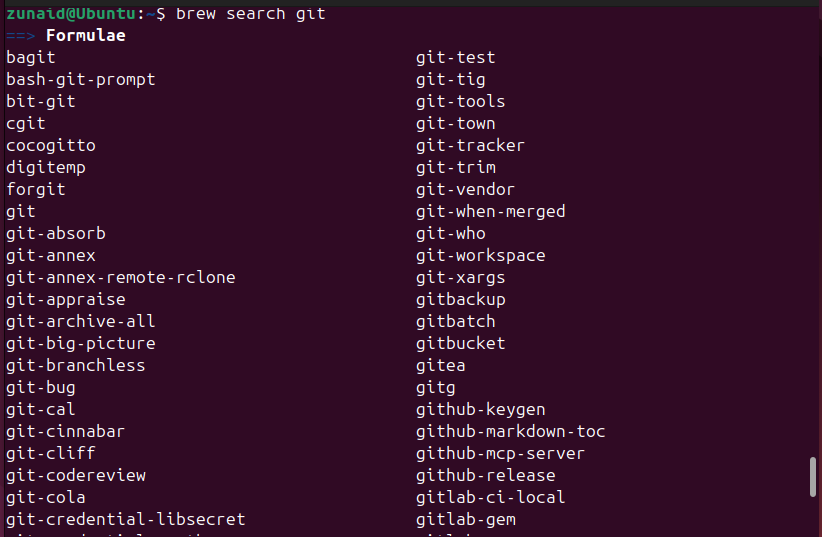 Searching for a package using Homebrew.
