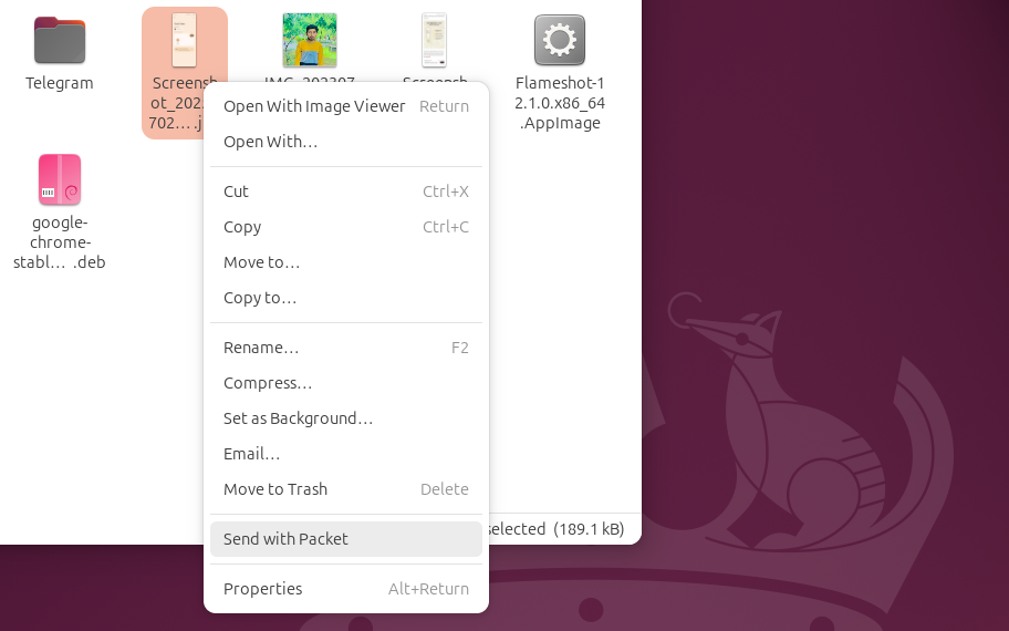 Sending files via the Packet Packet Packet with the Packet of the Linux Packet