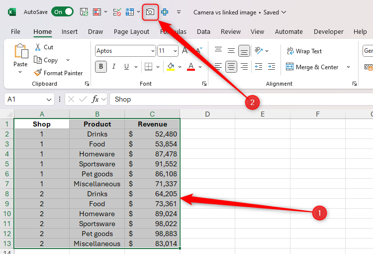 Some data in Excel is selected, and the Camera tool in the Quick Access toolbar is highlighted.