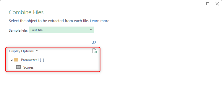 The Display Options pane in the Combine Files dialog box in Microsoft Excel.