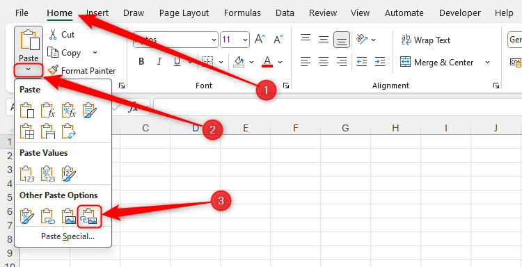 The Linked Picture paste tool in the Home tab of Excel's ribbon.