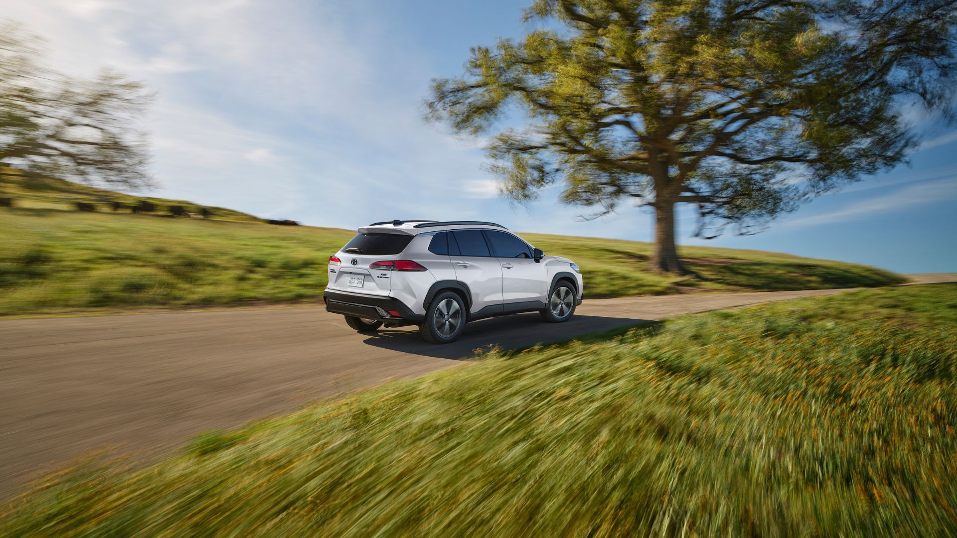 A white 2025 Toyota Corolla Cross Hybrid Dynamic Rear 3/4 shot a narrow country with a large tree in the background driving on the road.