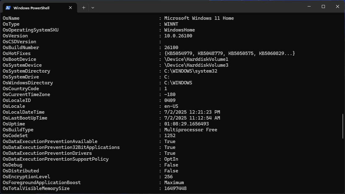 Windows powershell showing system information output.