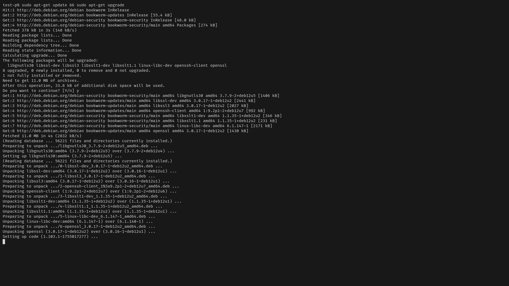 Открыто окно терминала с выводом обновления системы Debian.