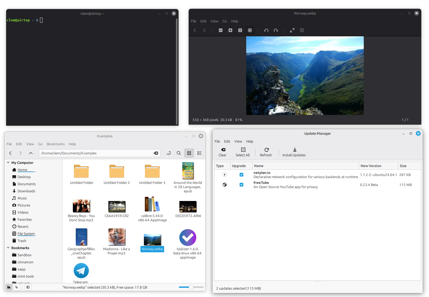 Blue highlights in Linux Mint
