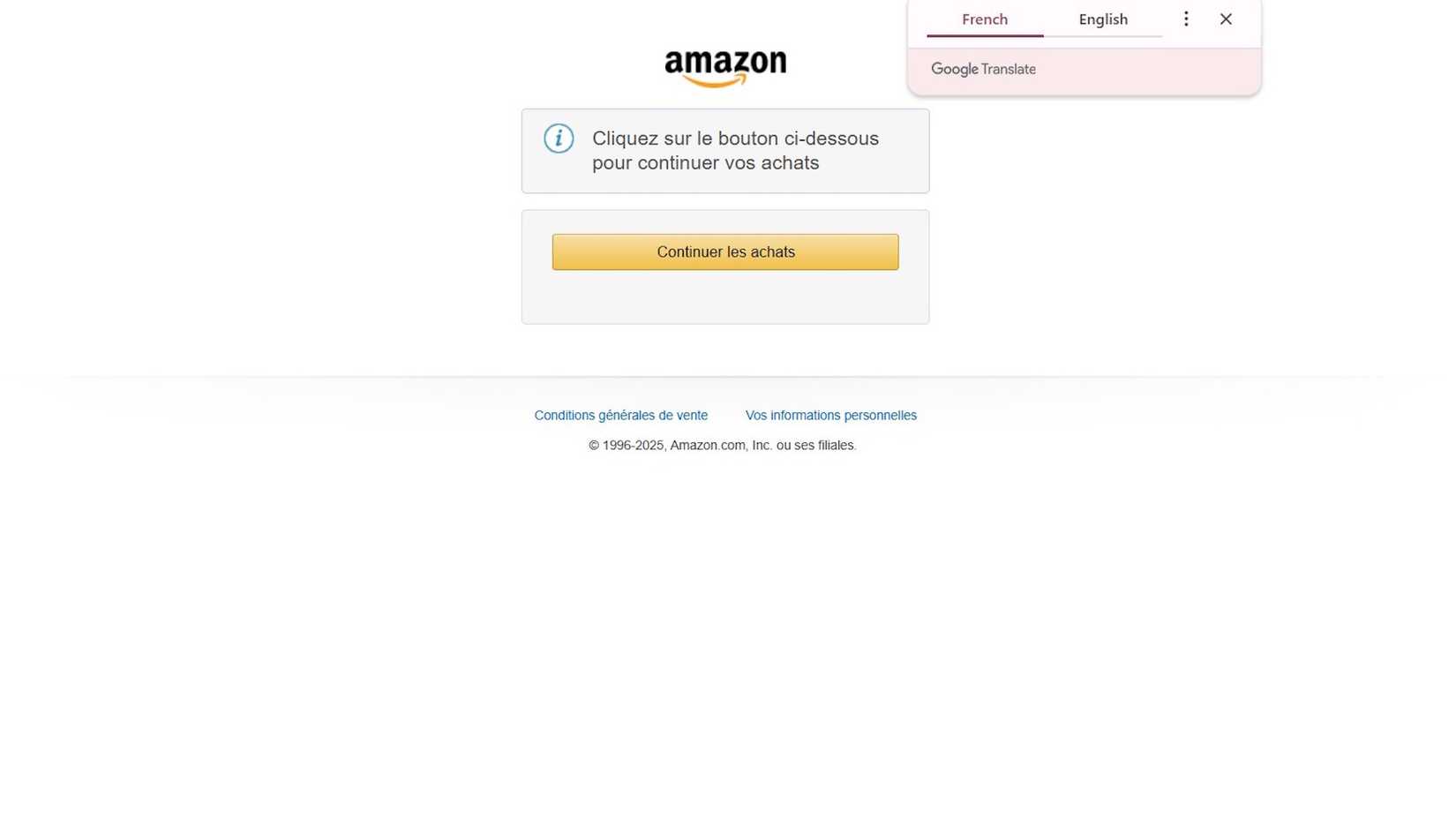 Image showing Google Translate in Chrome for amazon.fr