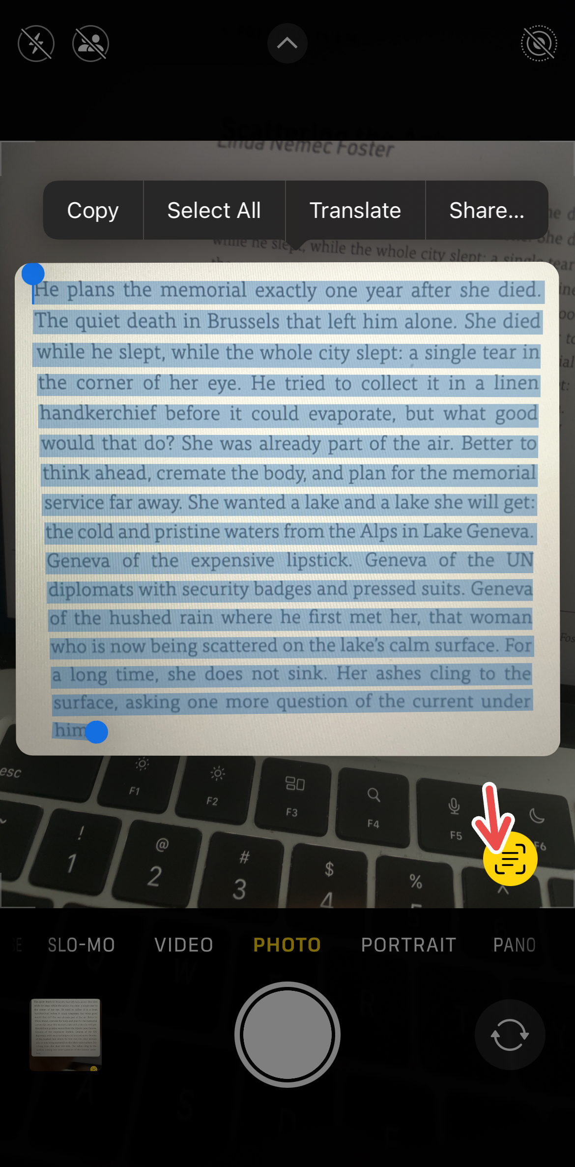 Using the Live Text feature on the iPhone Camera app.