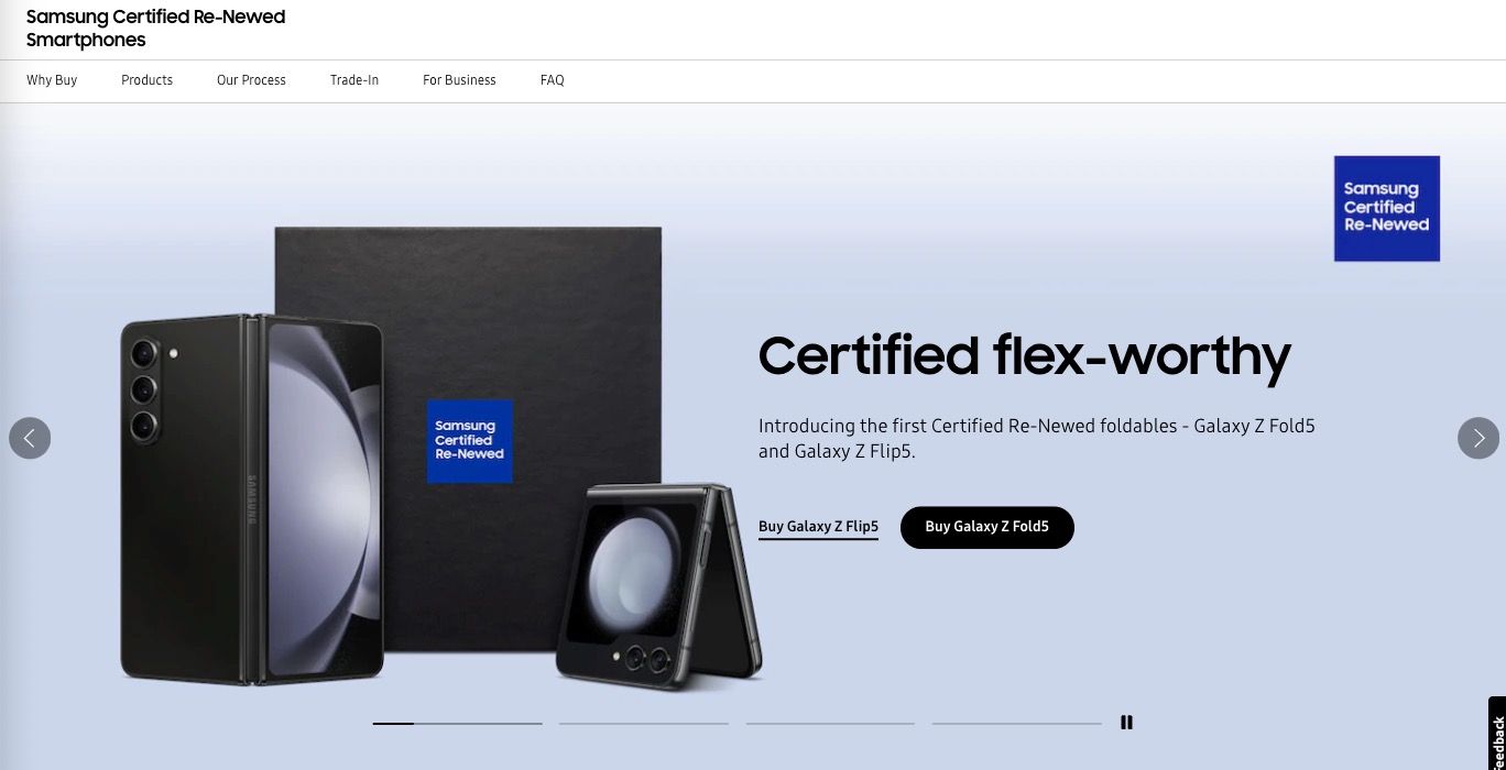 Screenshot of the renewed program