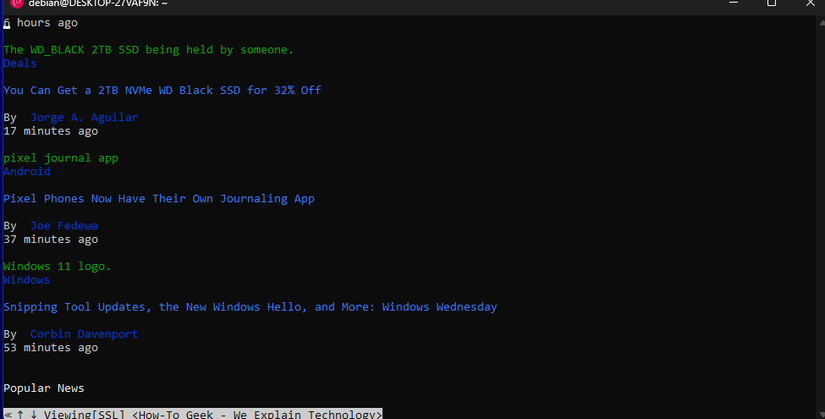 Browsing the internet with W3m.