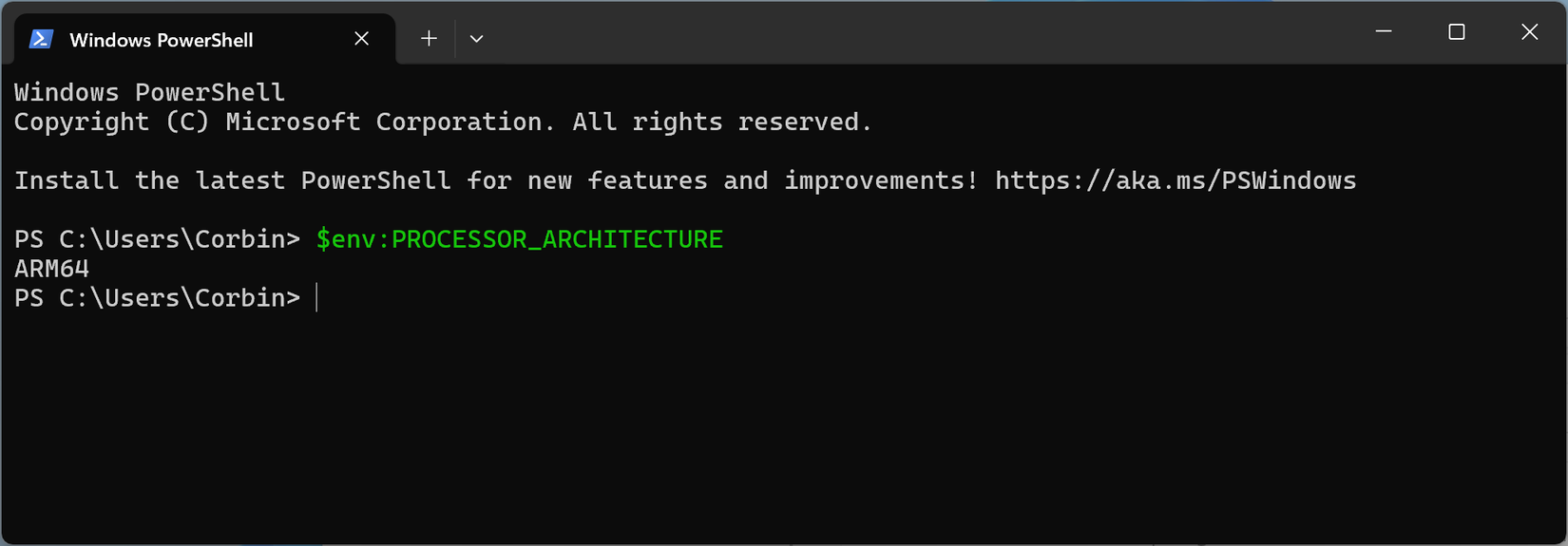 Arquitectura ARM64 Listada en la terminal de Windows