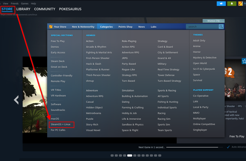 Steam Store categories showing Linux games page.