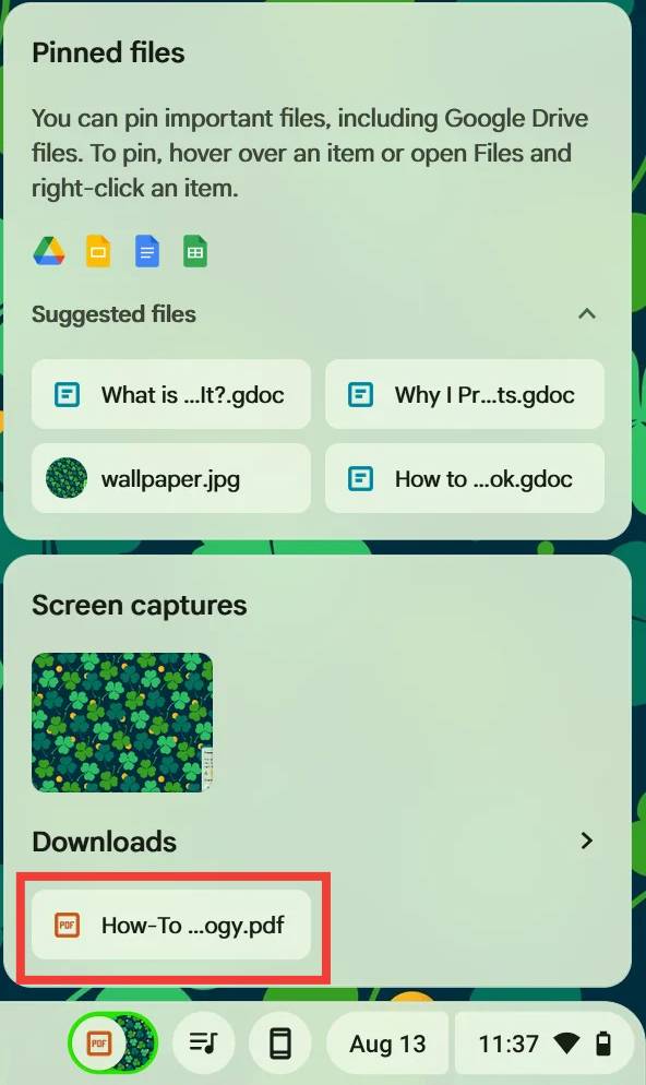 El bolso de Chromebook con una caja roja alrededor de un archivo descargado