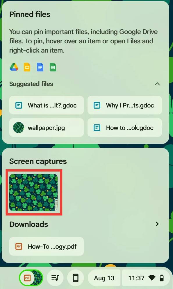 El bolso de Chromebook con una caja roja alrededor de una captura de pantalla