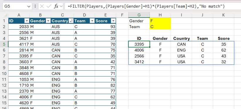 The FILTER function in Excel being used to return all the data after being filtered based on two criteria.