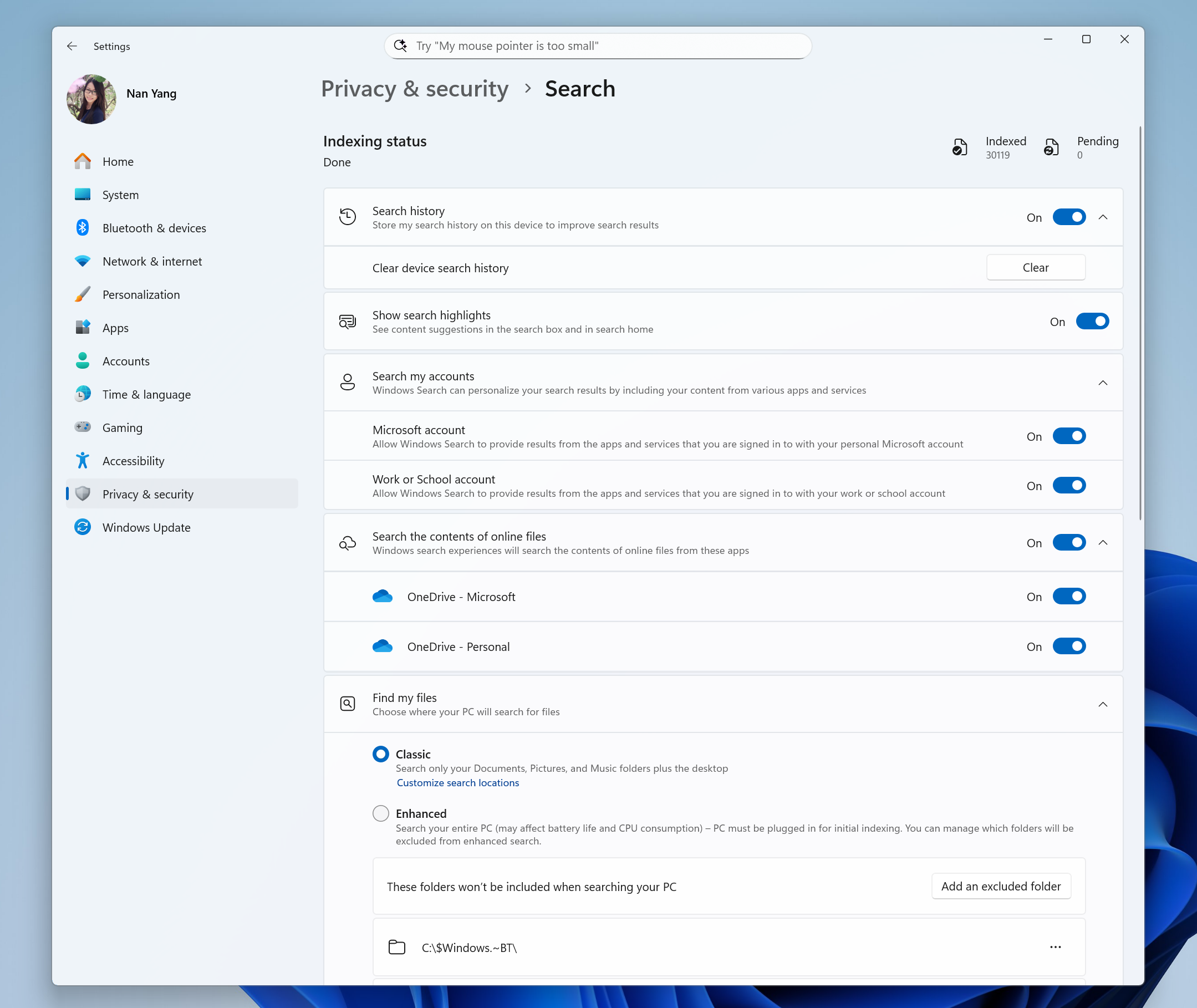 La página de configuración única actualizada para la búsqueda de Windows.