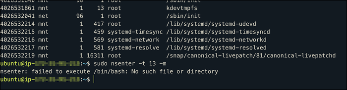 Aattempting to enter mount namespace for kdevtmpfs loads you into that namespace, but subsequently fails because it can't find /bin/bash