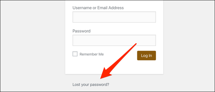 Link at the bottom to trigger an email password reset.