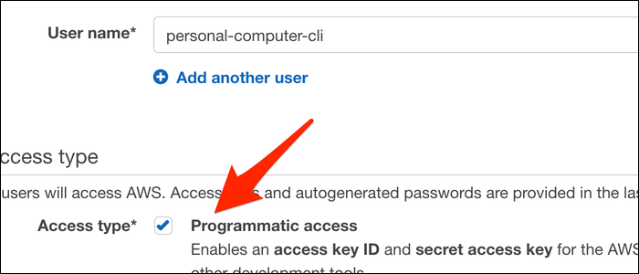 Name the user and set the access type to &quot;Programmatic Access.&quot;