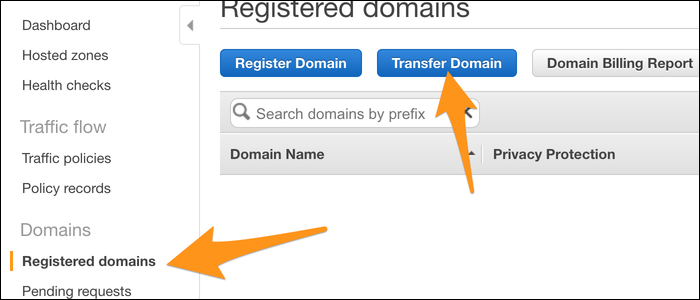 Transferring and registering your domain.