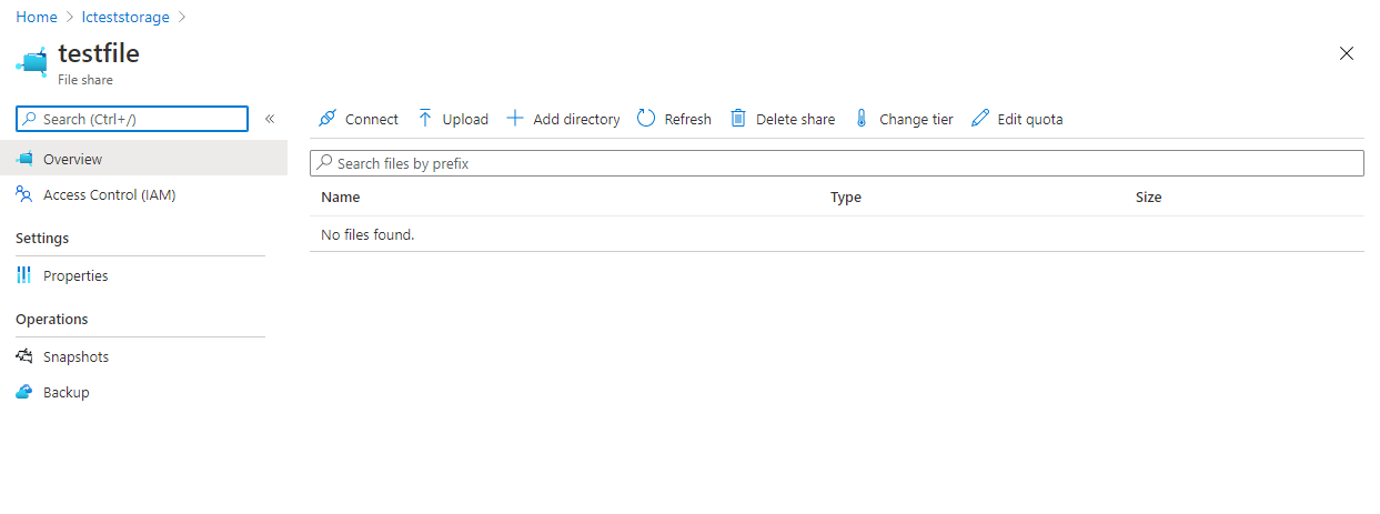 Simple file upload and management abilities in the file share management section.