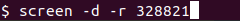 Reconnecting to a GNU Screen session