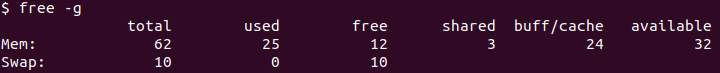 free -g Output