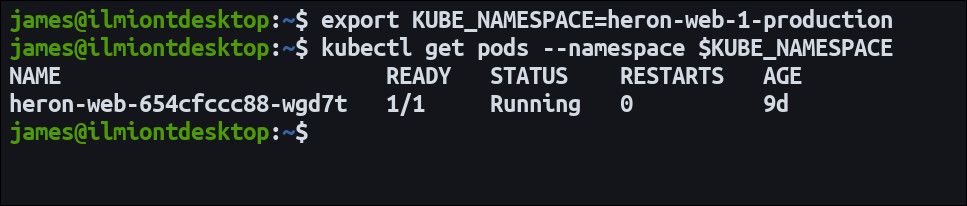 Screenshot of Kubectl retrieving pod details