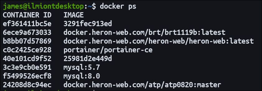 Screenshot of listing Docker containers