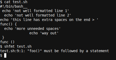 A practical example for shfmt with error on incorrect function call