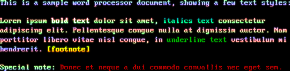 White text on a black background (VGA)