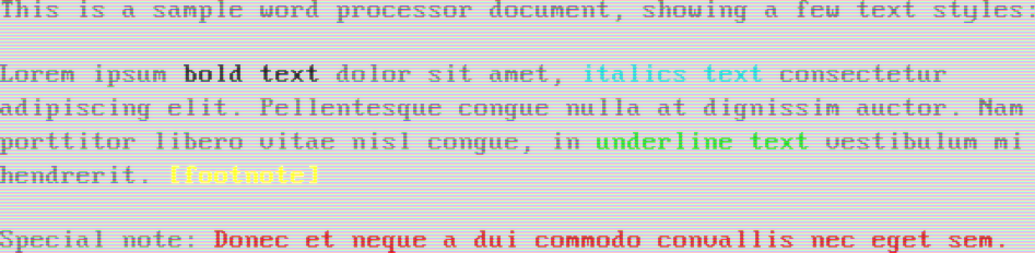 Bright black text on a white background (VGA)