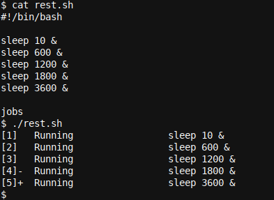 Adding jobs command in the script