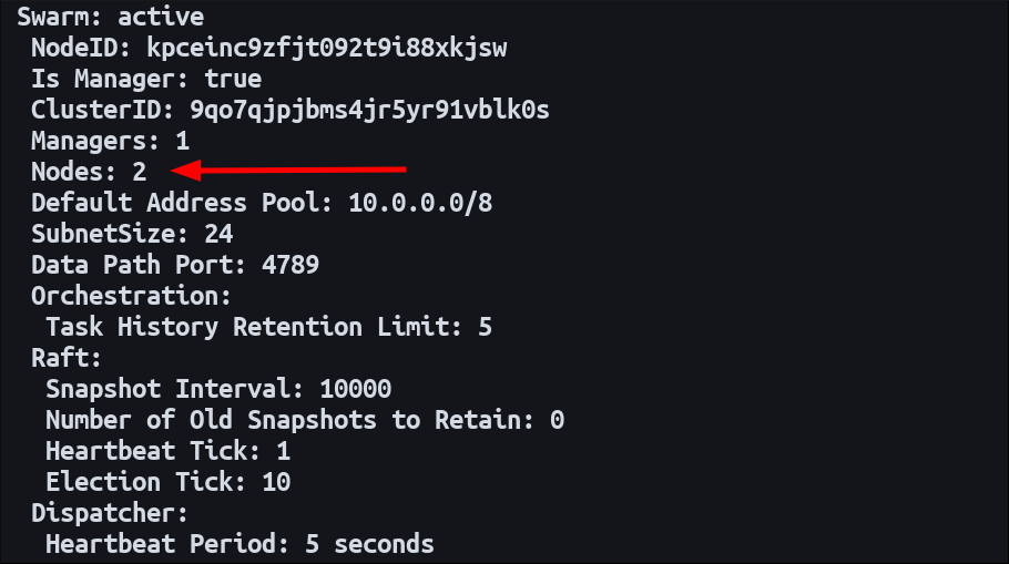Screenshot of listing Docker swarm details