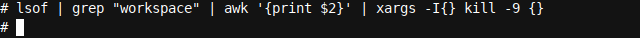 Kill a process using kill -9 based on a lsof search using grep