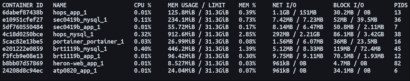 Screenshot of the docker stats command output