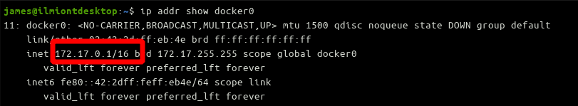 Screenshot of finding a Docker host's bridge IP address