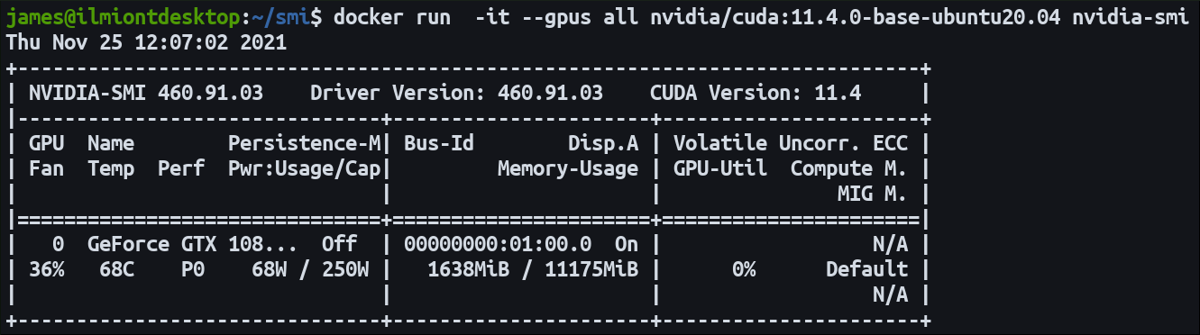 Screenshot of running nvidia-smi in a Docker container