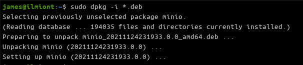 Screenshot of installing the Minio Debian package