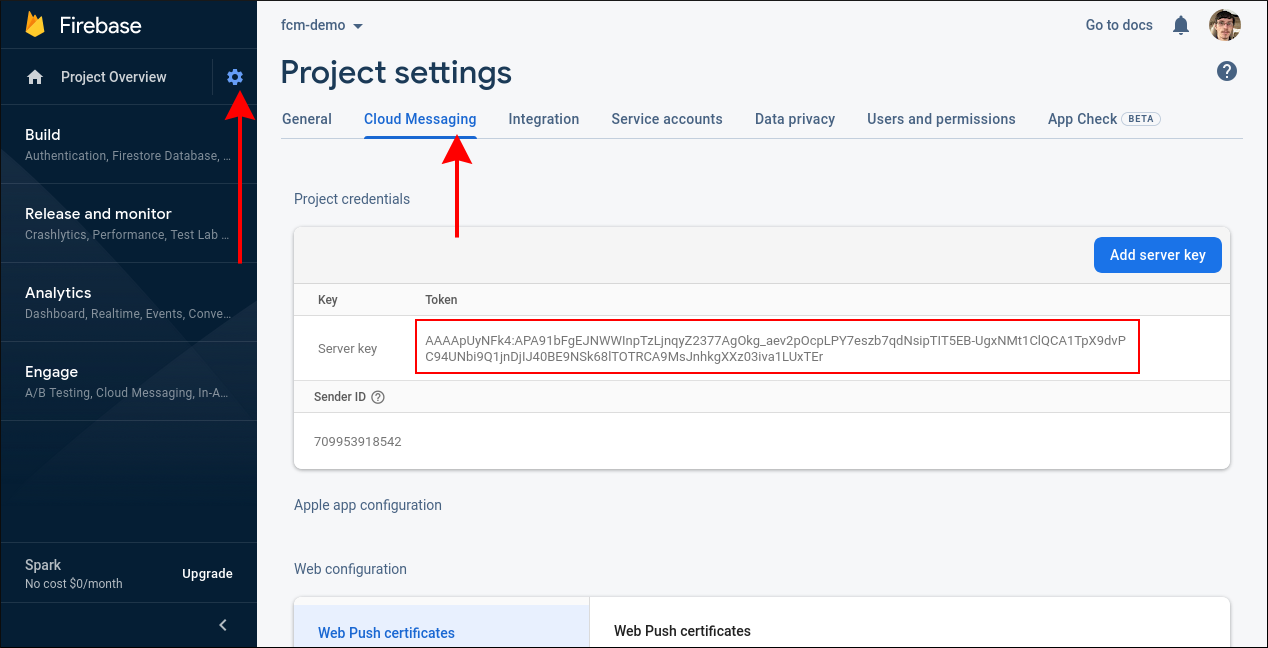 Screenshot of setting up FCM in the Firebase console
