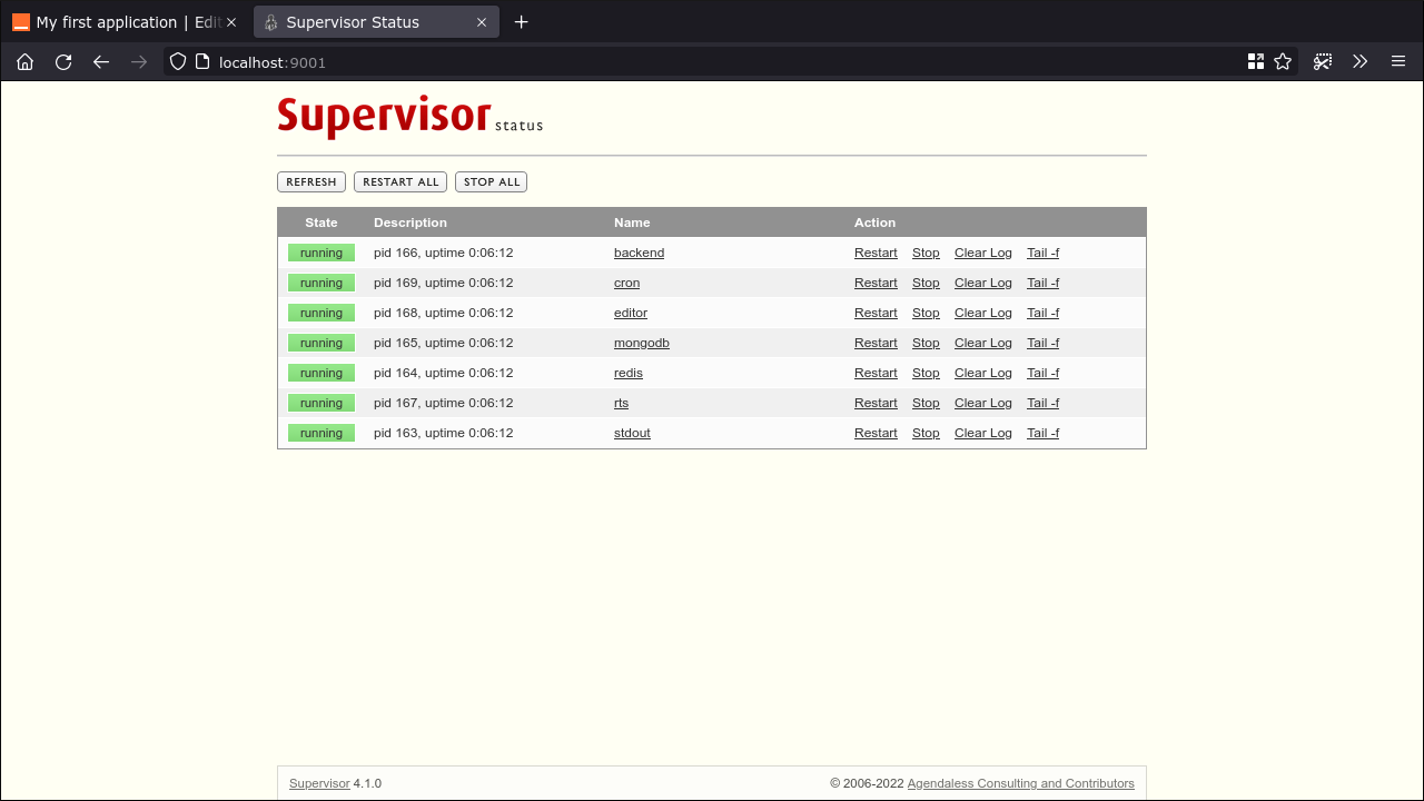 Screenshot of the supervisord web interface for Appsmith