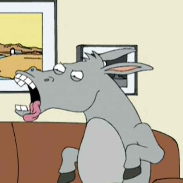 User Display Picture